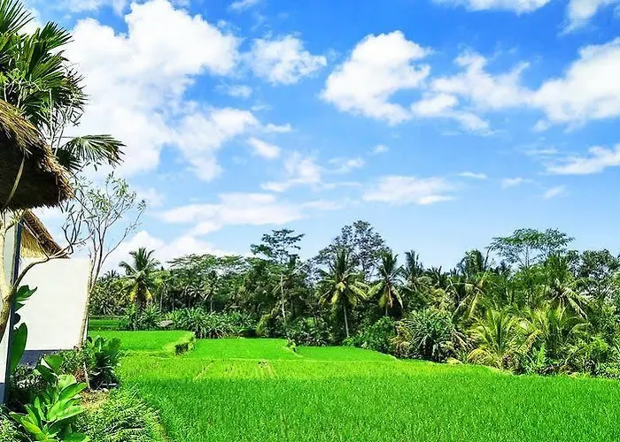 Amatara Abirama Villa Ubud (Bali)