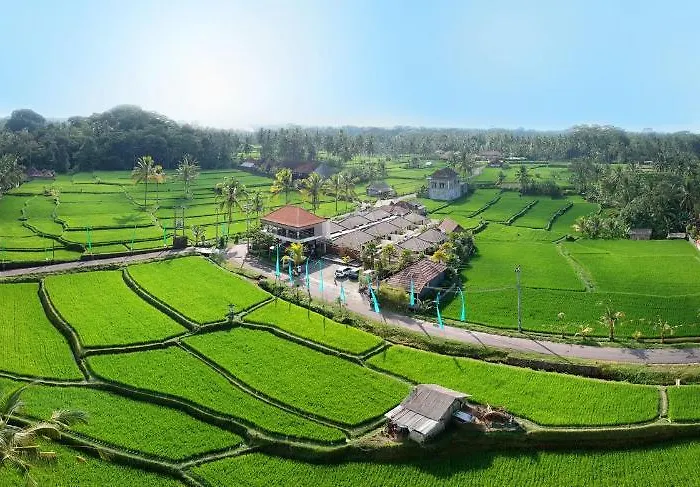 Amatara Abirama *